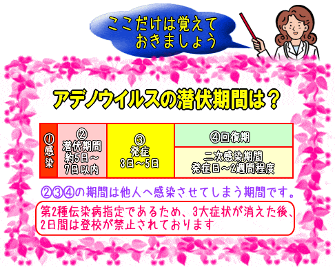 アデノウイルス潜伏期間･二次感染期間(図)