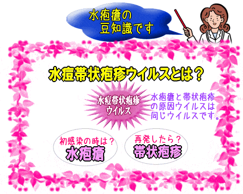 水痘帯状疱疹ウイルスとは？(図)