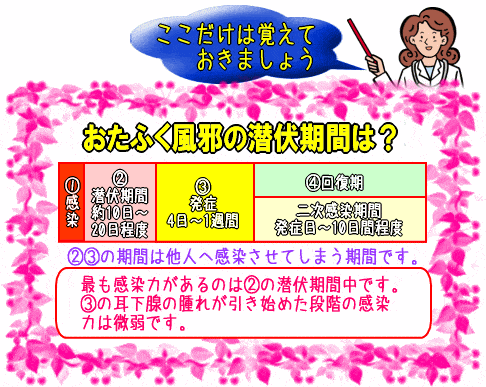 おたふく風邪潜伏期間･二次感染期間(図)