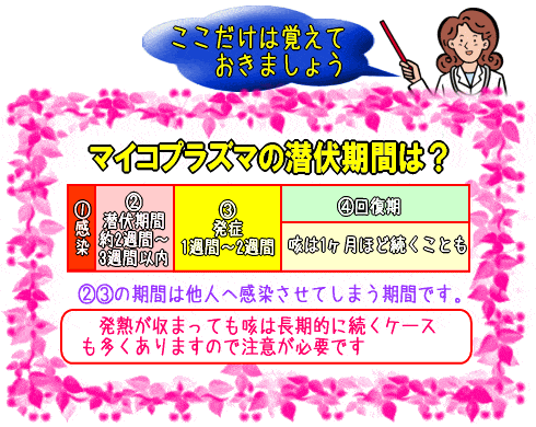 マイコプラズマ肺炎の潜伏期間･二次感染期間(図)